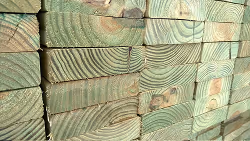 Imagine secțiune lemn tratat cu Tanalith