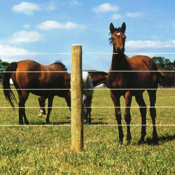 Bară rotundă impregnată Ø140mm